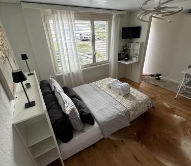 Schonenwerd Apartment | Gästehaus MaryVitty, zentrale zwischen Aarau und Olten, gut verbunden