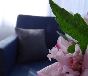 Furfeld Bed & Breakfast | Gästehaus Schattemorellsche