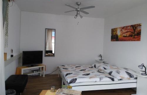 Essingen Apartment | Gästehaus Schumann