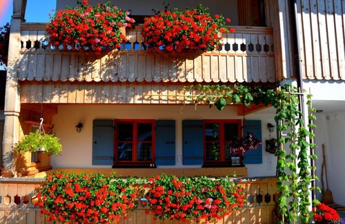 Horn Bed & Breakfast | Gästehaus Wild-Schütz