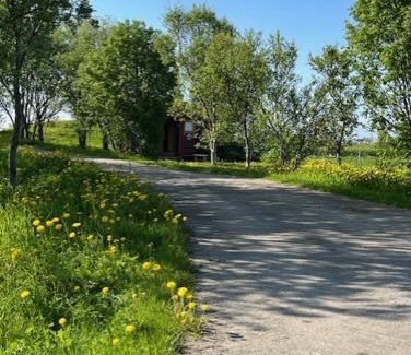 Dverberg Cabin | Gårdshytten, Dverbergveien 143