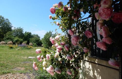 Saint-Martin-du-Fouilloux House | Gîte à la campagne proche d'Angers et de la Loire