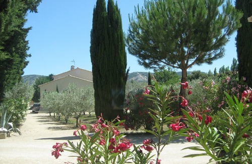 Cheval-Blanc Apartment | Gîte 2 pers "Les Oliviers du Petit Saint-Julien" in the Luberon -Vaucluse 84