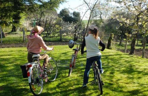 Jeu-Maloches House | Gîte 7 pers avec jardin, vélos, proche Zoo de Beauval et Château de Valençay - FR-1-591-60