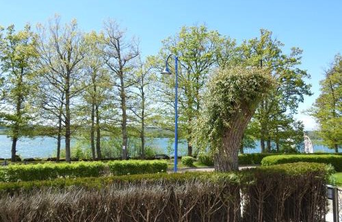 Villegusien-le-Lac House | Gîte au bord du lac avec terrasse, idéal pour la famille - FR-1-611A-17