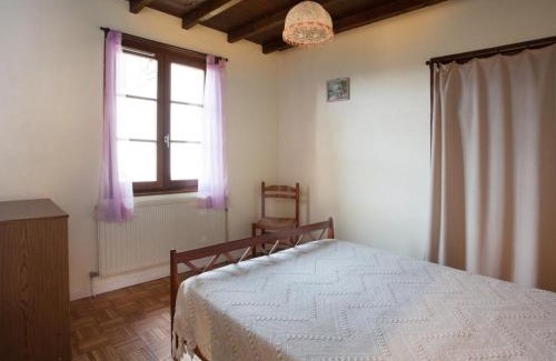 Saint-Medard-en-Forez House | Gîte chaleureux avec cheminée, grande terrasse, jeux pour enfants et promenades à dos d'ânes - FR-1-496-283