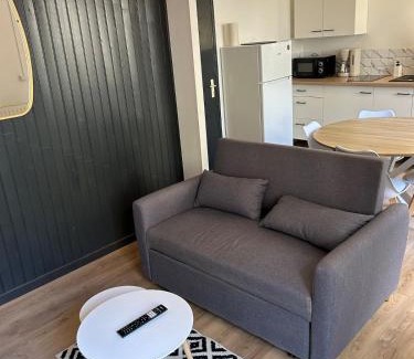 Langeac Apartment | Gîte Cosy - 35 m2 - T2 Hyper Centre - Tout équipé