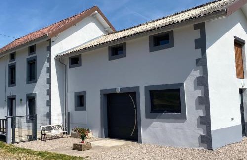 Plombieres-les-Bains House | Gîte de charme avec sauna, spa et terrain de pétanque à Plombières-les-Bains, idéal en famille - FR-1-589-432