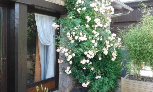 Plehedel Apartment | Gîte De Kerberso