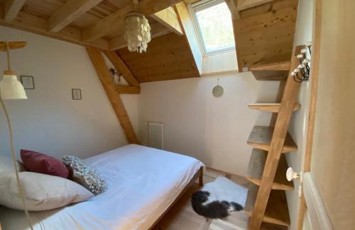 Aragnouet House | Gîte de Montagne
