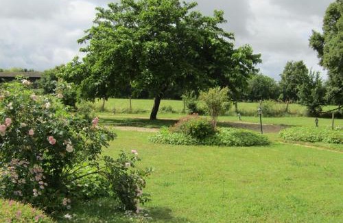 Channay-sur-Lathan House | Gîte familial avec grand jardin, près des Châteaux de la Loire et activités nautiques - FR-1-381-494