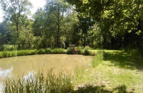 Rosnay House | Gîte familial au cœur du parc de La Brenne avec étang privé, cheminée, Wi-Fi et animaux acceptés - FR-1-591-377