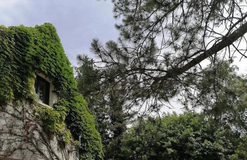 Curtil-Vergy Apartment | Gîte Hautes Côtes de Nuits