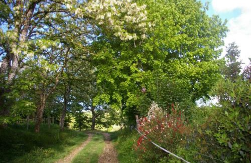 Betplan House | Gîte l'appel de la Forêt