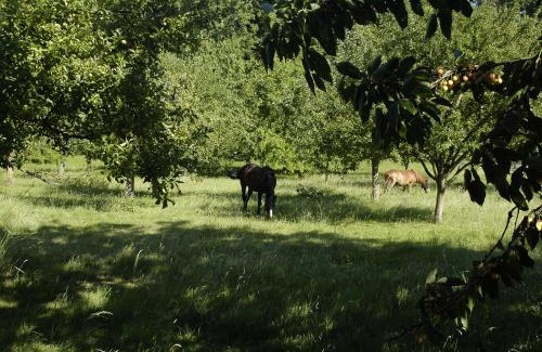 Neuville-Bosc House | Gîte LA BERGERIE