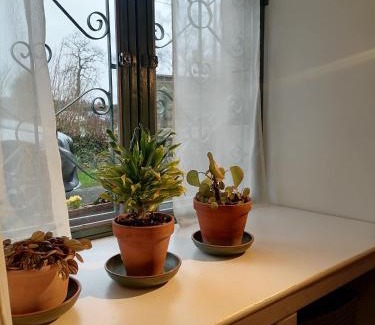 Saint-Aubin-d'Aubigne House | Gîte LA Maison LA