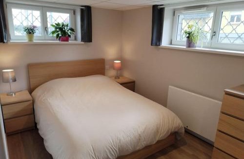 Wintzenheim Apartment | Gîte le petit wintz entre ville et vignes avec son parking et jardin privatif