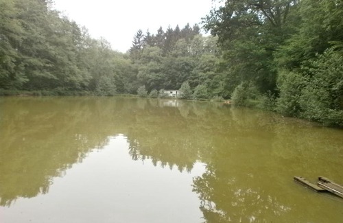 Cerfontaine House | Gîte LE SOUS-BOIS