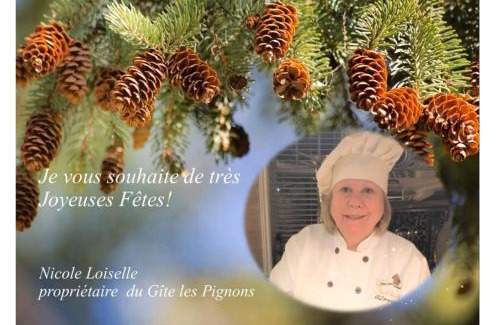 Saint-Damien-de-Buckland Bed & Breakfast | Gîte Les Pignons