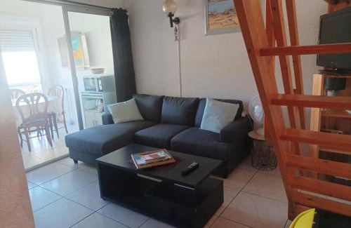 Argeles Plage Apartment | Gîte Méditérranée