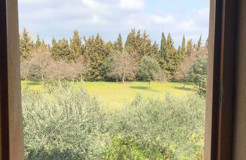 Suze-la-Rousse House | Gîte Mûrier