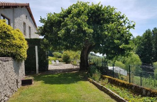 Laprugne House | Gîte nature avec jardin, animaux OK, proche activités, Wi-Fi - FR-1-489-458