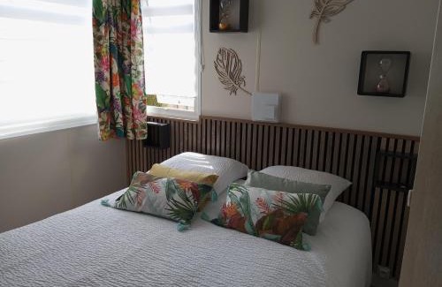 Villefranche-sur-Cher Ski Chalet | Gîte Panda house