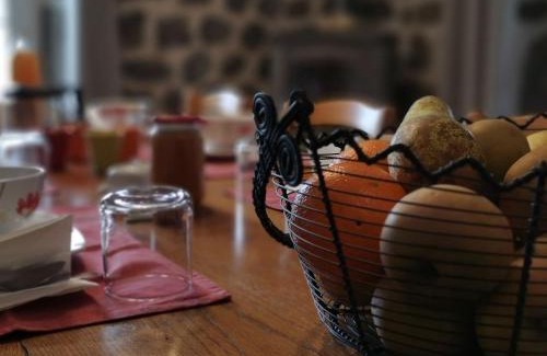 Seneujols Bed & Breakfast | Gîte pittoresque en campagne près du Puy-en-Velay, idéal pour nature et St-Jacques de Compostelle - FR-1-582-451