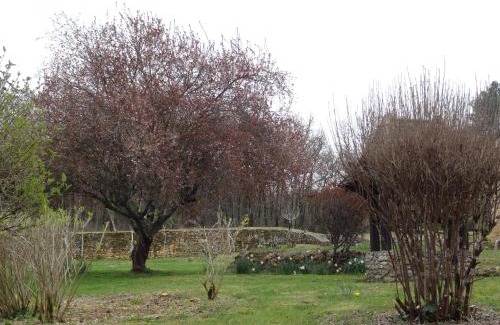 Sainte-Foy-de-Longas House | Gîte pour 4 personnes - Dordogne