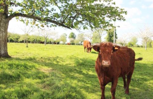 Champosoult House | Gîte rénové à la ferme, 4 chambres, jardin clos, WiFi, parking, animaux, activités nature à proximité - FR-1-497-27