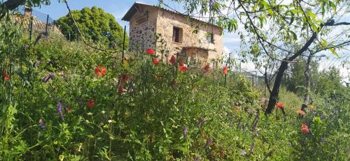 La Rochette Apartment | Gîte Studio Saint Ribert