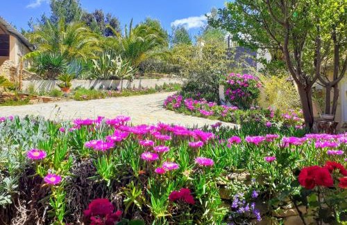 La Cadiere-d'Azur Apartment | Gîte Vue Mer