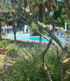 Sallertaine House | Gîtes de charme "l'écrin de Vendée" jacuzzi privatif, piscine chauffée, prestations bien être, vélos à 10 mn de l'océan sur 3,5 h de verdure