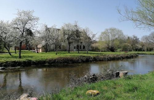 Saint-Firmin-sur-Loire House | Gîtes modulables entre Loire et Sologne avec jardin et barbecue - FR-1-590-528