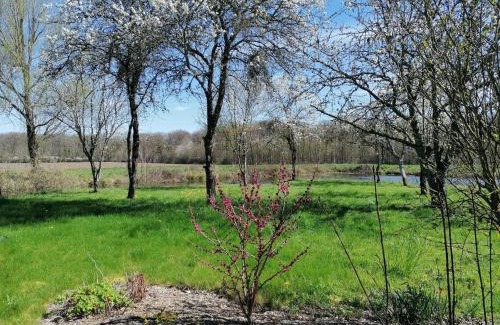 Saint-Firmin-sur-Loire House | Gîtes modulables entre Loire et Sologne avec jardin et barbecue - FR-1-590-528