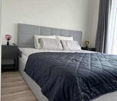 Zemgale House | Gabiežezers Holiday House, 30km from Riga
