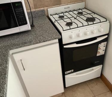 General Roca Apartment | Gadano Suites