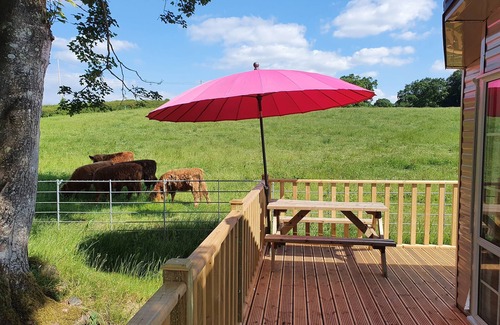 Corwen Cabin | Gaerhyfryd Static Caravan & family friendly site