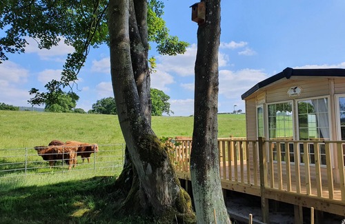 Corwen Cabin | Gaerhyfryd Static Caravan