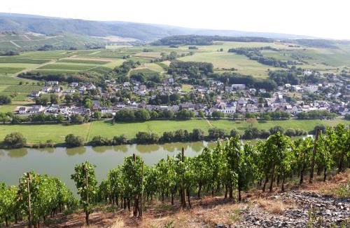 Brauneberg House | Gaestehaus Jufferpanorama
