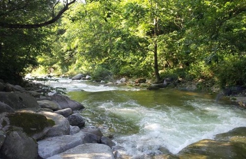 Hongcheon House | Galcheon Family Resort