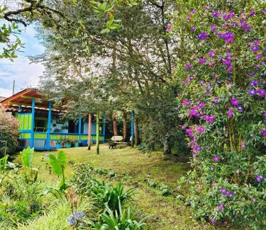 Santa Elena House | Galilea