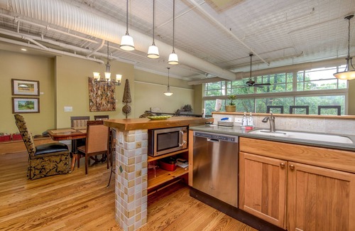 Downtown Asheville Condo | Gallery at 35 Patton