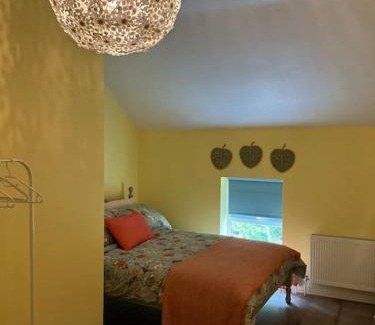 Monaghan Apartment | Gallinagh Guest House Monaghan