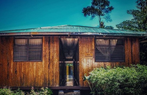 Manu Cabin | Gallito De Las Rocas Lodge