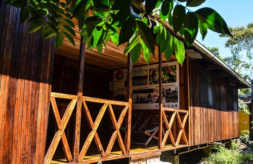 Manu Cabin | Gallito De Las Rocas Lodge