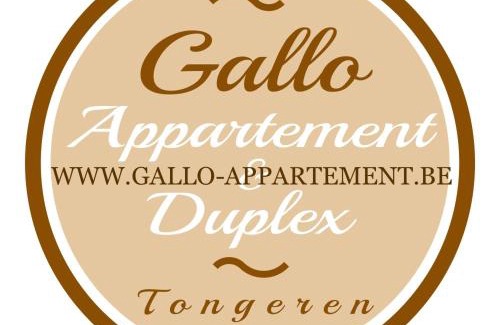 Tongeren Apartment | Gallo Appartement & Duplex Tongeren centrum
