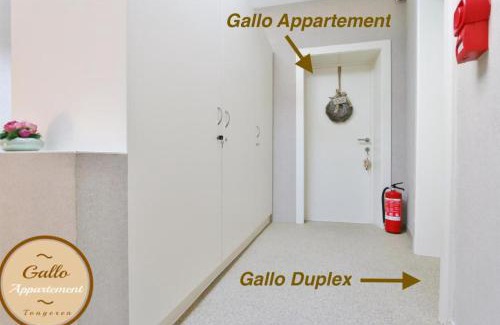 Tongeren Apartment | Gallo Appartement & Duplex Tongeren centrum