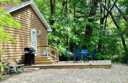 Harbert House | Game Room, 4 Min to Warren Dunes, Fire Pit and More!