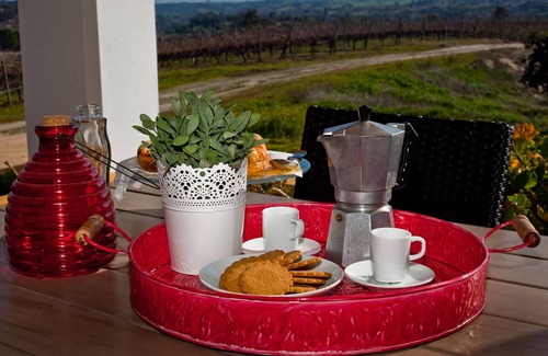 Crato House | Gamito's Estate - Vineyard and Cellar - Prod. Wines - AgroTurismo - Casa3Quartos